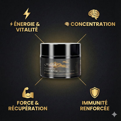 Shilajit Résine Pure de l'Himalaya
