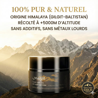 Shilajit Résine Pure de l'Himalaya